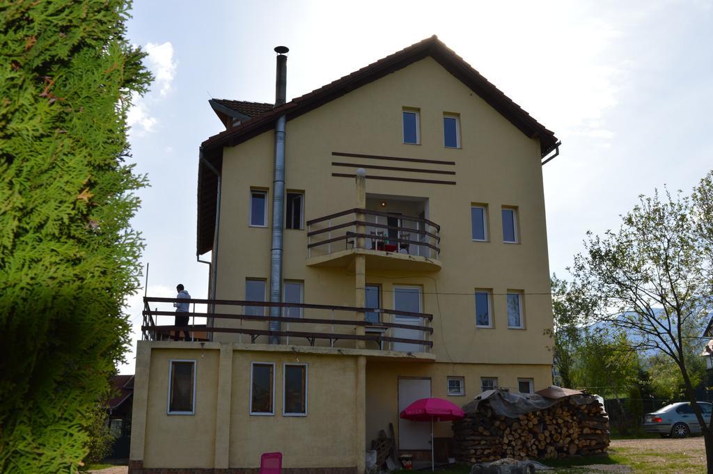 Pensiunea Ando Bran  Zewnętrze zdjęcie